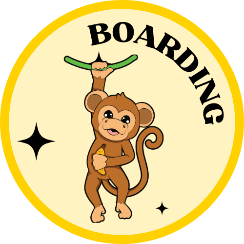 pygmy marmoset boarding pygmy marmoset boarding