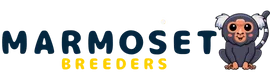 logo marmoset breeders dubai